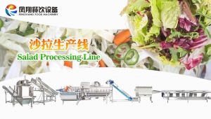 Fengxiang salad production line, from selection to finished product, in one step!