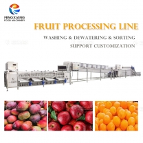Fengxiang Industrial Fruit Processing Line Orange Washing Dewatering Sorting Machines