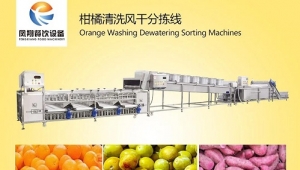 Clean and air-dry the grading line to double the added value of agricultural products!