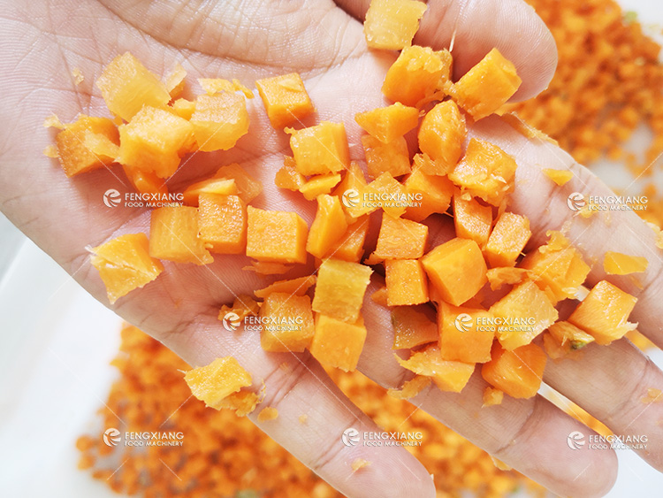 carrot dicing machine