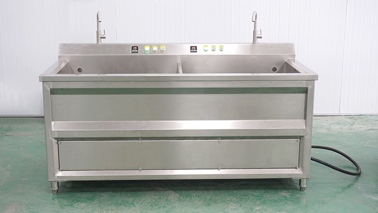 vegetable fruit washing blanchine machine