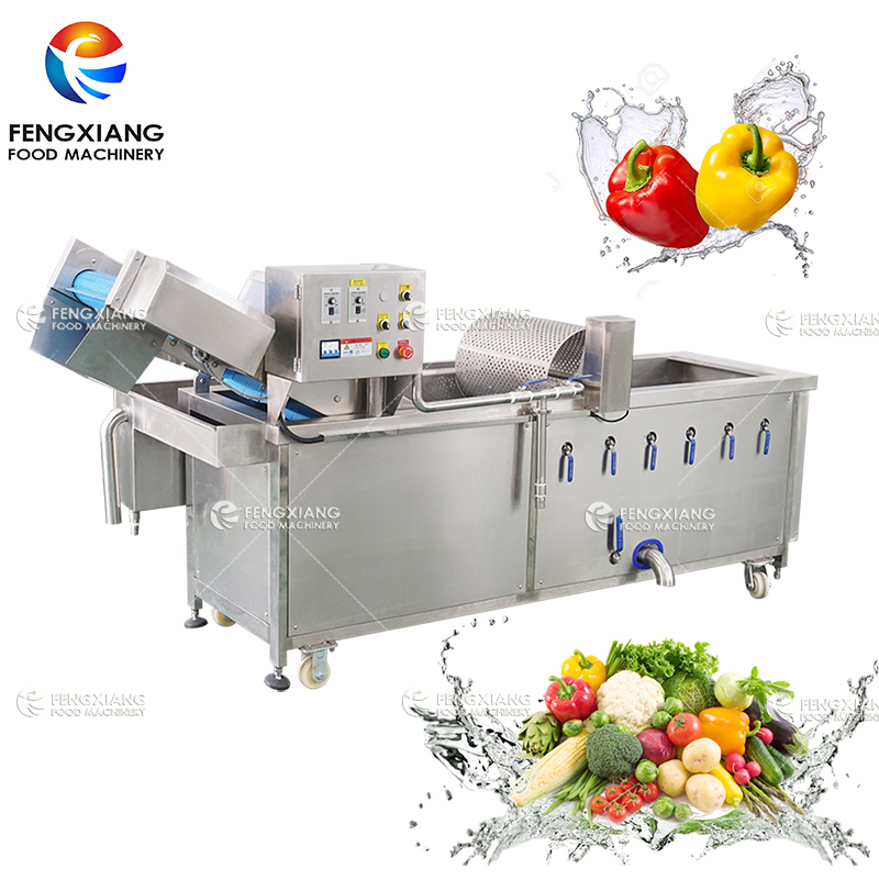 Fengxiang WA-1000 Vegetable bubble spray washing machine