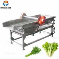 Fengxiang FT-1800 Vibration Vegetable Dewatering Machine, Vegetable Water Remove