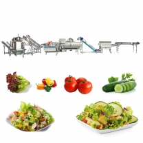 Support customization vegetable salad cutting washing drying machines processing line wholesale
