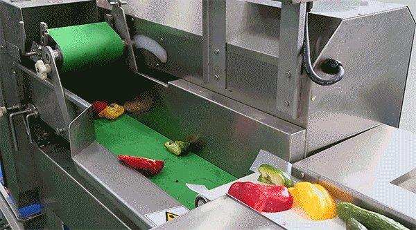 vegetable shredding machine