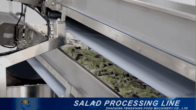 vegetable dewater machine