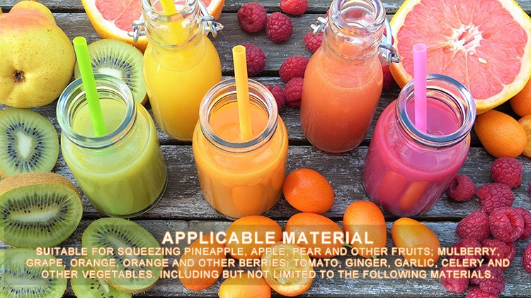 Industrial Juice Machine, Fruit Juice Blender, Juice Extractor