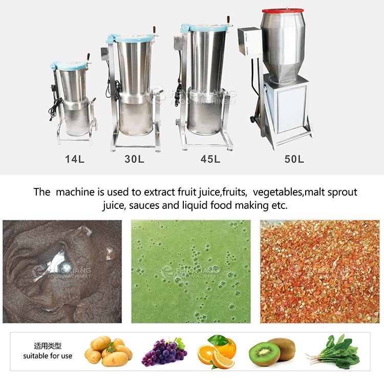 Fruit Juicer Blender