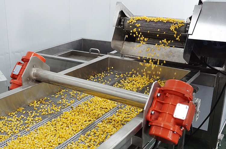 corn whole kernel processing line