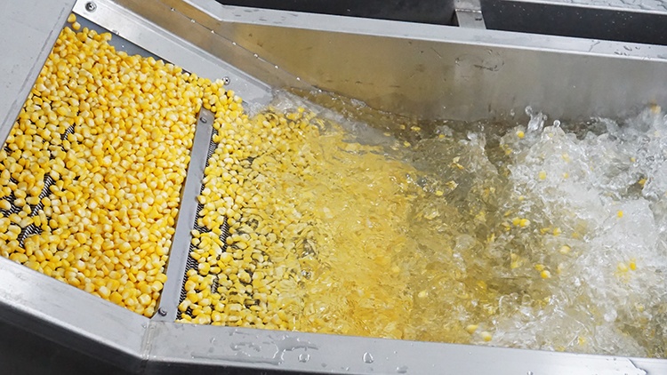 corn washing machine