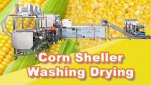Corn threshing drying line testing before shipped out