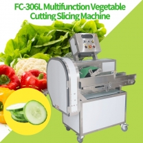 Fengxiang FC-306L Automatic Vegetable Cutting Machine Cabbage Slicing Machine