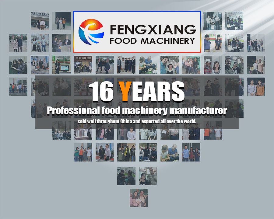 fengxiang salad processing line