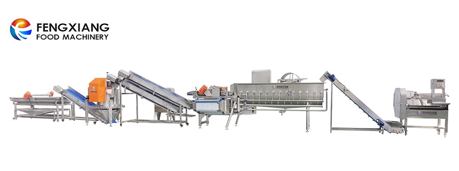 fengxiang salad processing line