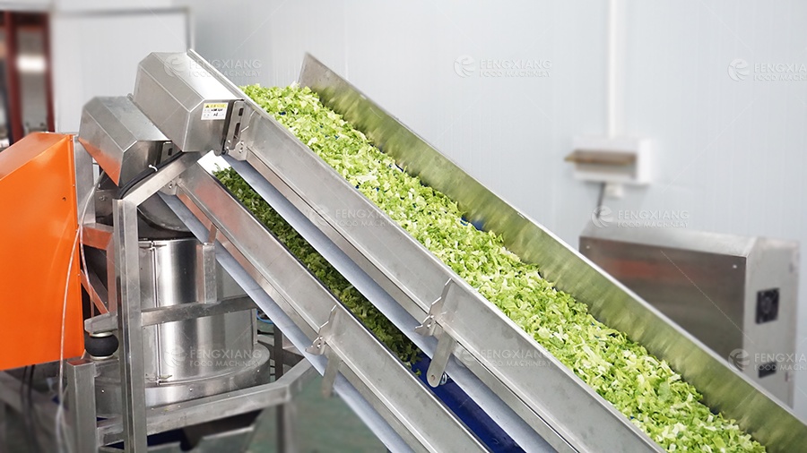 fengxiang salad processing line