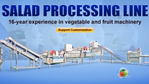 Salad production line specially designed for the needs of small and medium capacity