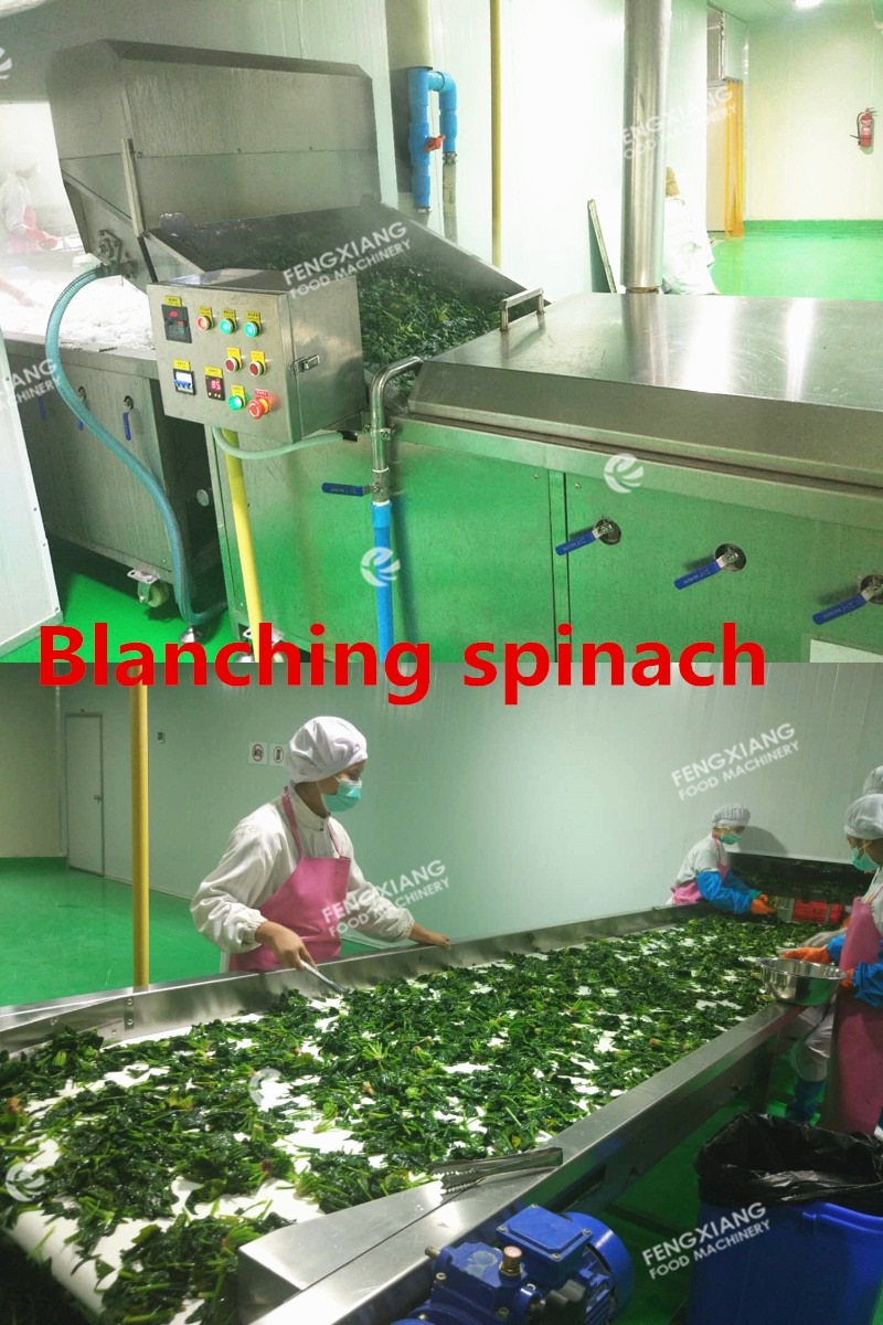 vegetable spinach blanching machine