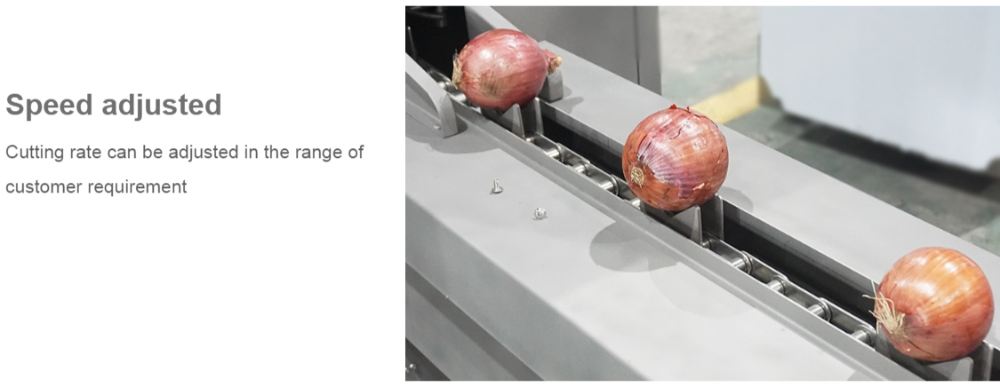 onion processing machine