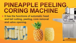 Automatic Pineapple Peeling And Core Cutting Machine