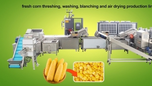 Maize sheller cleaning blanching drying processing line for corn production solution