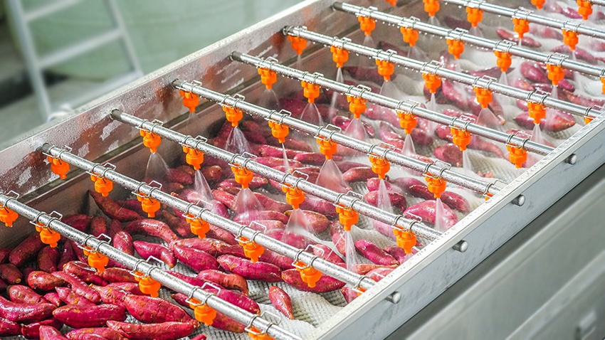 sweet potato washing machine