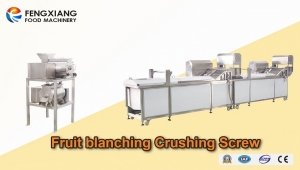 Equipment and process for mango puree