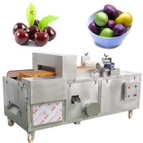 Fengxiang Commercial Automatic Cherry Pitting Machine Fruit Destoning Machine