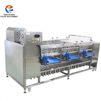 Fengxiang Fruit Potato Onion Sorting Machine with Inspection Conveyor