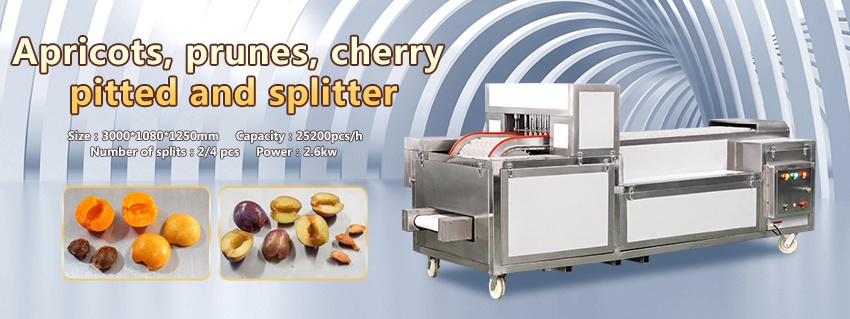 cherry olive pitter pitting machine
