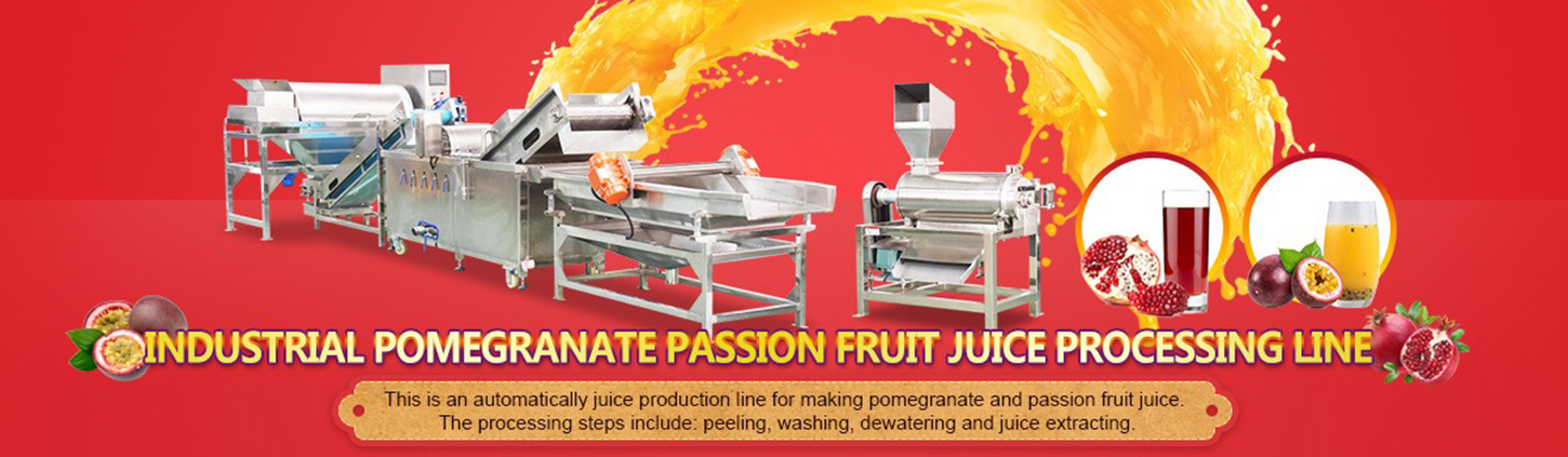 Pomegranate juice machine line