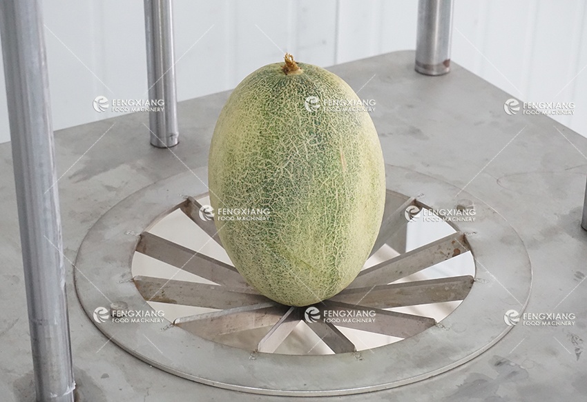 melon Coring and Separating Machine