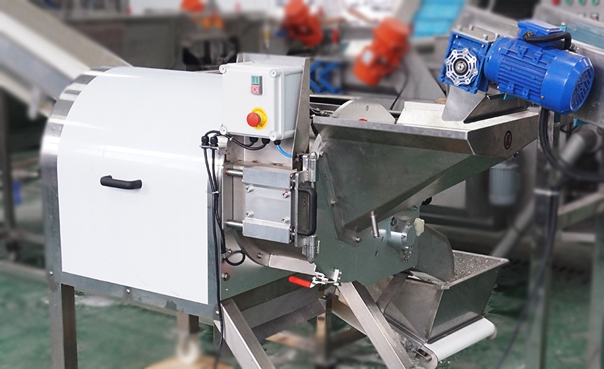 cassvaa dicing machine