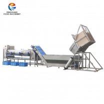 Fengxiang Radish Grading Machine Carrot Sorting and Transportation Production Line