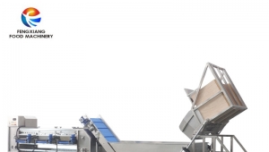 Sorting Machine Is Important in Vegetable And Fruit Plants