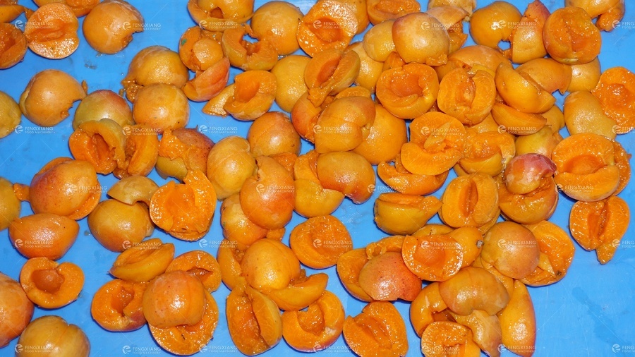Apricots Pitting separating machine
