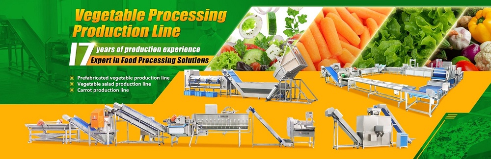 vegetabel fruit processing line