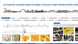 French fries/ potato chips production line processing introduction