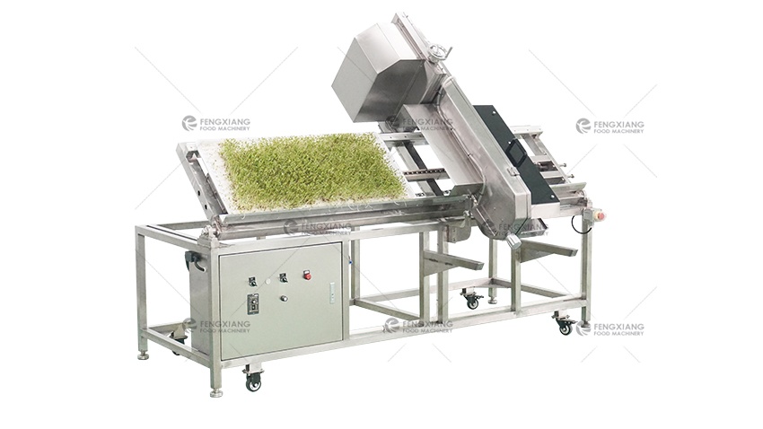 bean sprouts root cutting machine