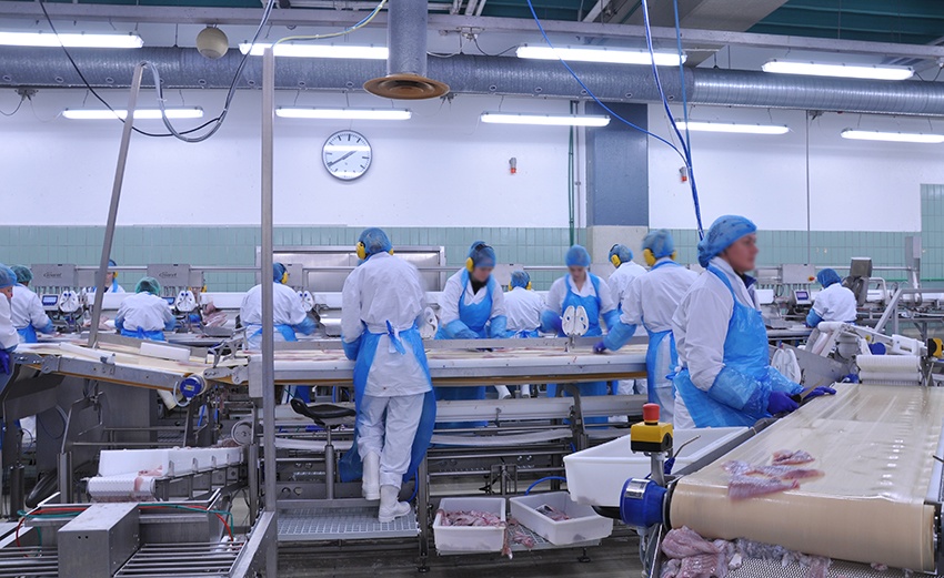 fish processing factory