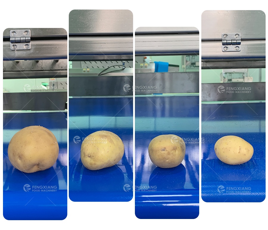 potato grading machine