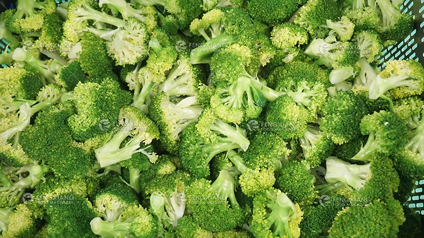 broccoli blanching machine