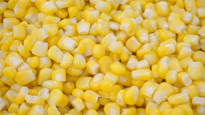 sweet corn kernel blancing machine