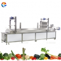Fengxiang PT-3000 Automatic Lifting Vegetable Blanching Machine Green Beans Pre-boiling Equipment