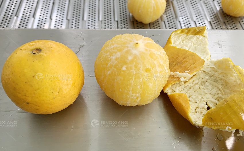 Mandarin orange peeling machine