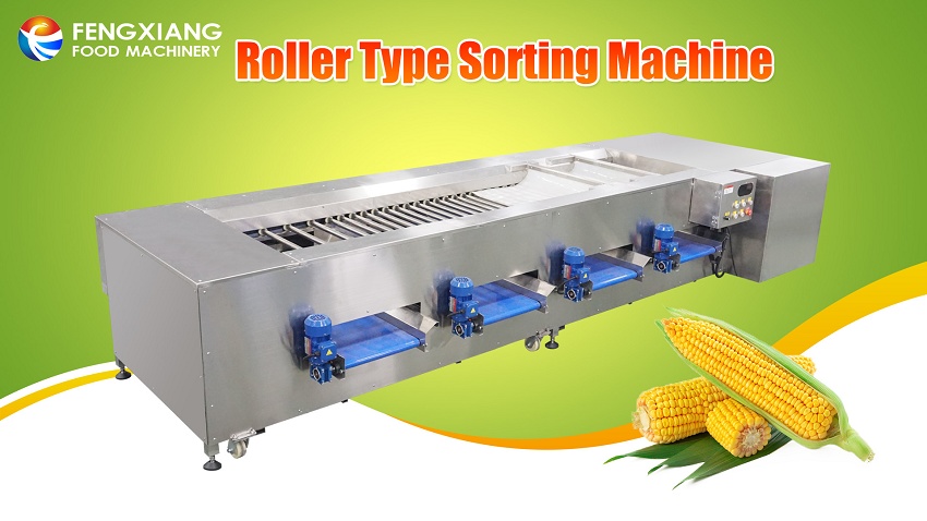 sweet corn grading machine