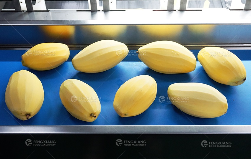 mango peeler peeling machine