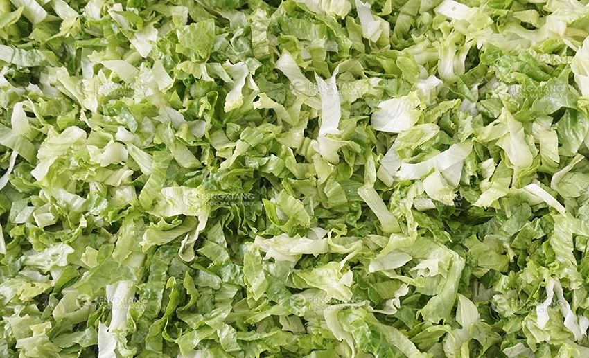 dewatering vegetable lettuce