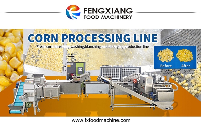 sweet corn processing line