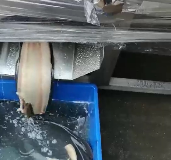 catfish bone removing machine
